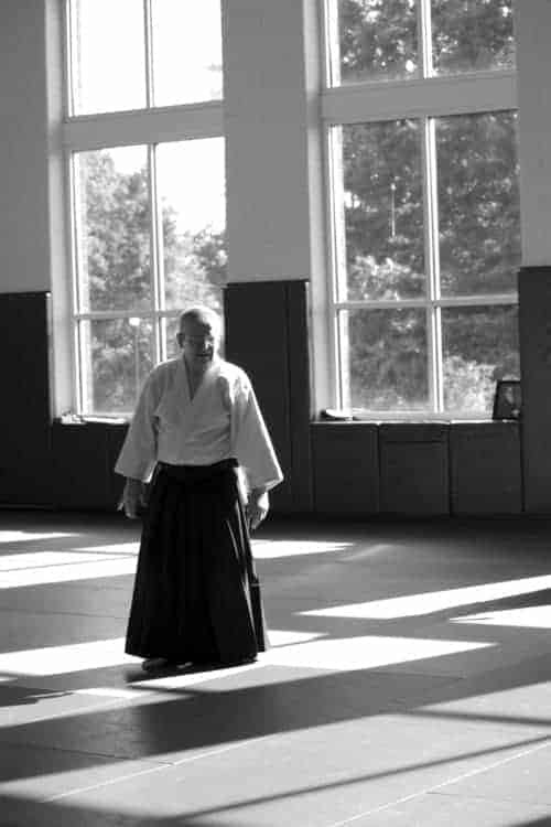 How to Raise Your Standards to Change Your Life 5 aikido 362953 1920 Self-Motivate