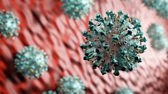 coronavirus blog post featured image