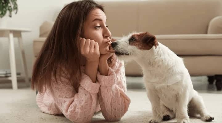 My Partner Loves Their Pet More Than Me blog post featured image