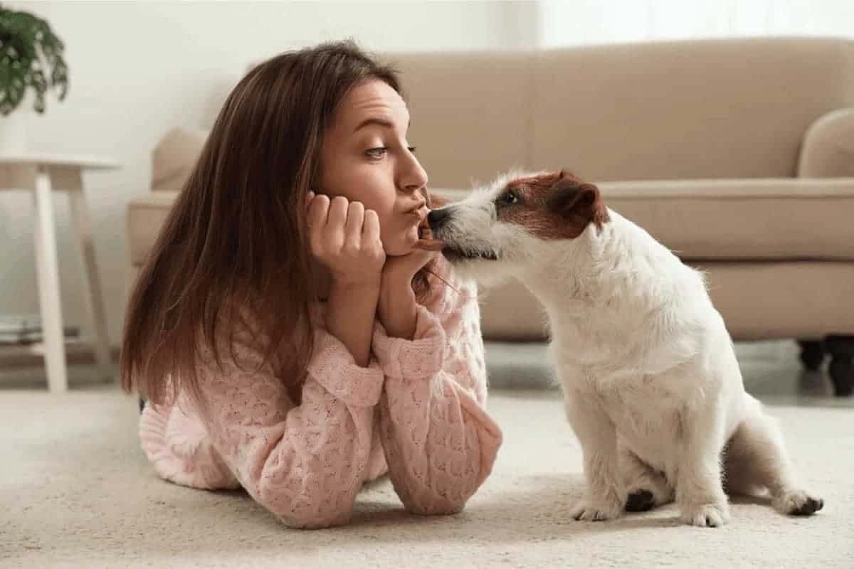 My Partner Loves Their Pet More Than Me blog post featured image
