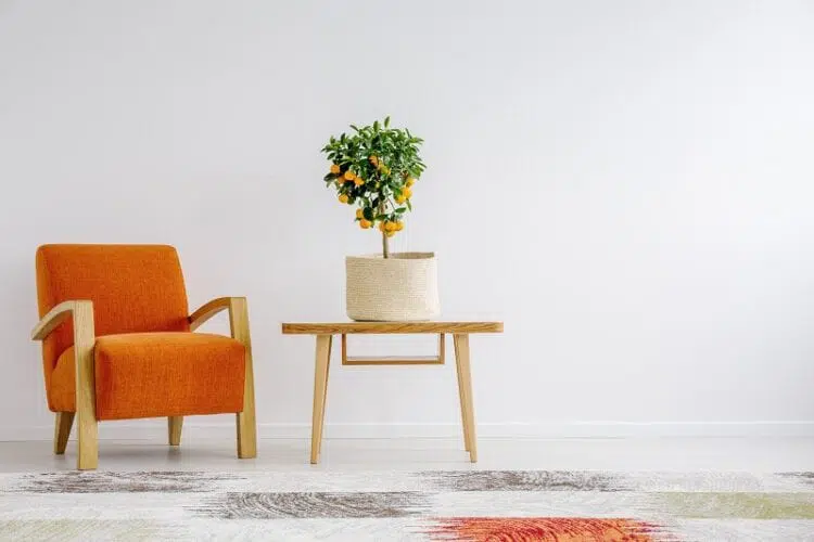 accent colours Colour Psychology