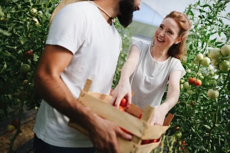 6 Factors That Every Dating Site Needs to Get Right 2 a good matching couple